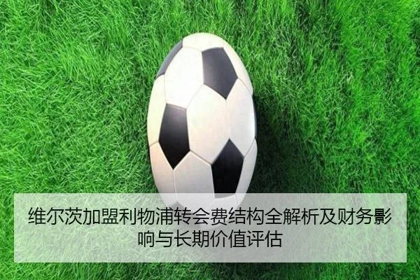 维尔茨加盟利物浦转会费结构全解析及财务影响与长期价值评估